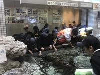 ２年生　校外学習　名古屋港水族館のサムネイル画像