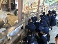 1年生　校外学習　東山動物園のサムネイル画像