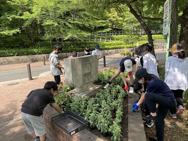 隼人池公園の花壇の花植えのサムネイル画像