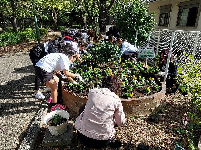 ５年生 隼人池花壇花の植え付けのサムネイル画像