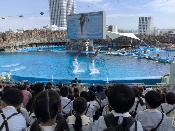 2年生　校外学習のサムネイル画像