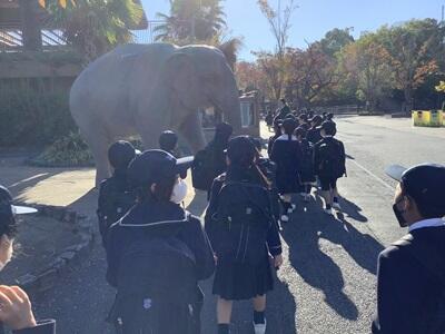 １年　校外学習のサムネイル画像