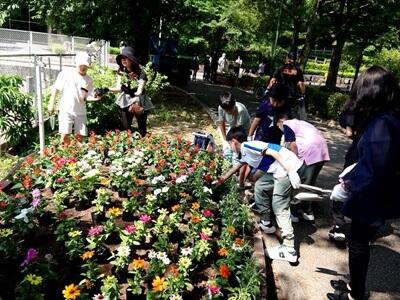 隼人池花壇の花の植え付けのサムネイル画像