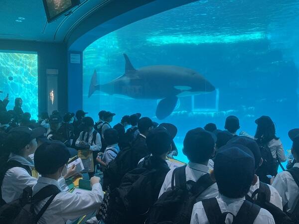 2年生　生活科校外学習のサムネイル画像