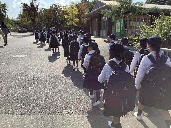 1年生　国語科校外学習（東山動物園）のサムネイル画像
