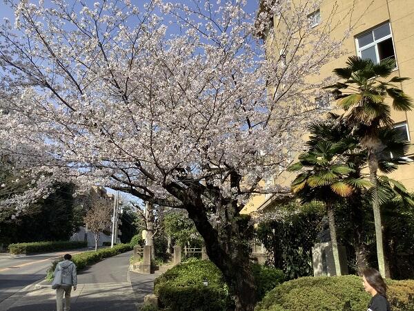 入学式のサムネイル画像
