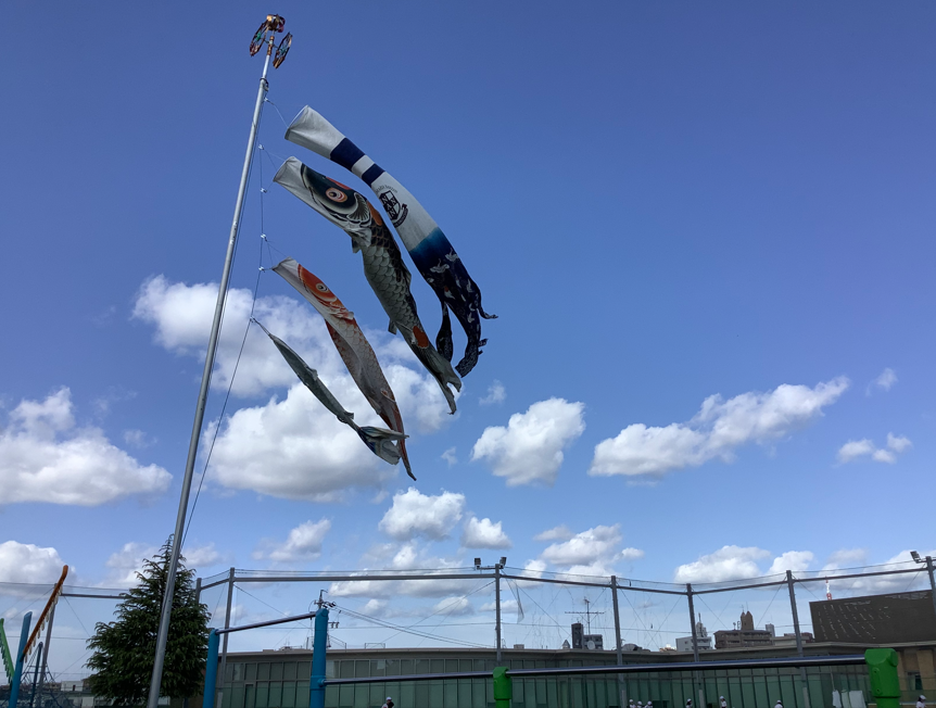 こいのぼり2026-04-28 095341.png