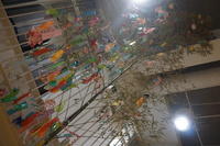 DSC03387-thumb-200xauto-2187.jpg