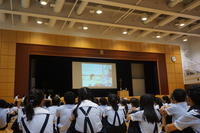 DSC03392-thumb-200xauto-2189.jpg