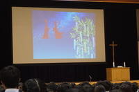 DSC03393-thumb-200xauto-2190.jpg