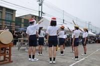DSC_7456-thumb-200xauto-2473.jpg